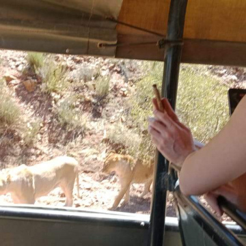 Cape Family Fun Adventure Tour