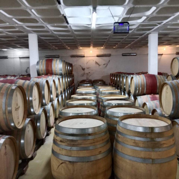 Big 5 Safari Transfer Private & Wine Tasting: Afternoon Tour
