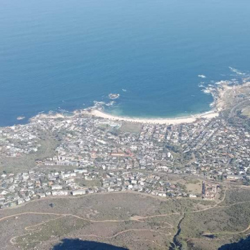 Table Mountain, Pinguins colony & cape point : Full Day Tour