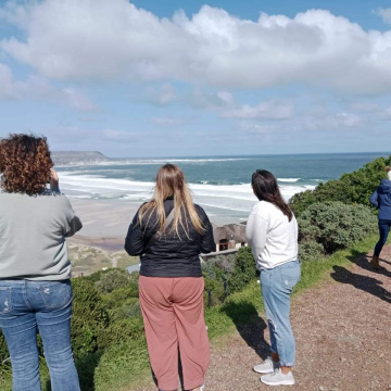 Ultimate Cape Peninsula & Winelands Experience